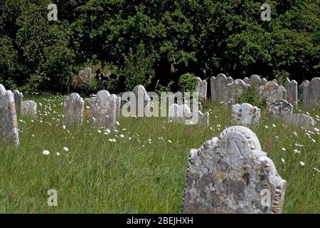 All Saints Kirchhof, Süßwasser, Isle of Wight, England, Großbritannien, an einem hellen Sommertag Stockfoto