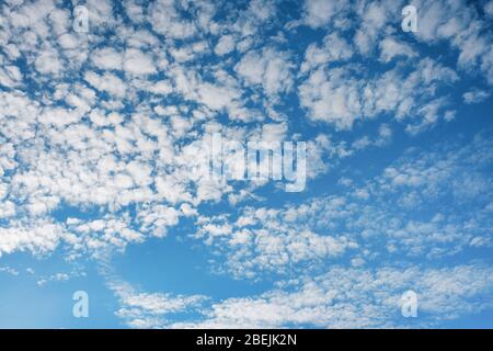 Weißer Zirrus, federleichte Wolken gegen den Frühling strahlend blauer Wolkenhimmel an sonnigen Tagen in England Stockfoto