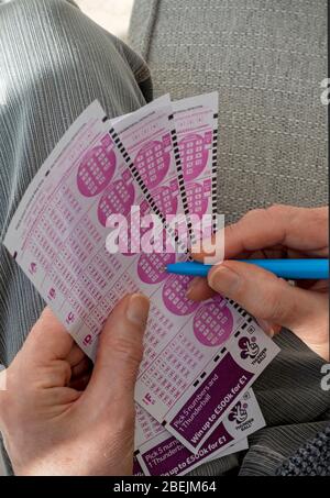 Nahaufnahme der Person Mann Hand Hände halten Füllen in Thunderball Lotto Lotto Lotterie Slips Formulare England Großbritannien Großbritannien Großbritannien Großbritannien Großbritannien Großbritannien Großbritannien Großbritannien Großbritannien Großbritannien Großbritannien Großbritannien Großbritannien Großbritannien Großbritannien Großbritannien Großbritannien Stockfoto