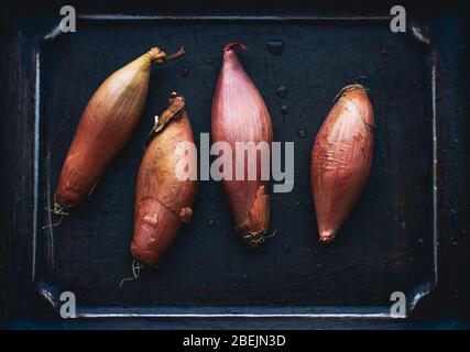 Rohe französische Schalotten auf metallischem Hintergrund gesundes Gemüse Stockfoto