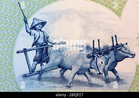 Bauer und Ochsenwagen von burmesischen Geld Stockfoto