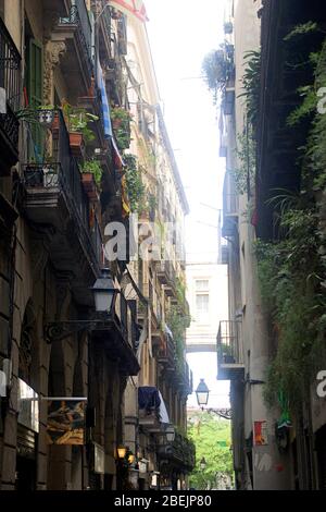 Barcelona, Spanien / Juni 2012: Seitenstraße der Ramblas in der Altstadt von Barcelona Stockfoto