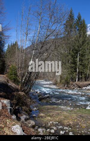 Wandern Sie entlang des Flusses von Morzine in den französischen Alpen. Stockfoto