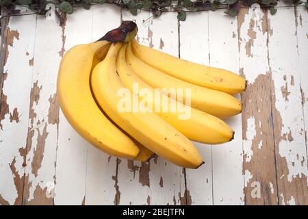 Ein Bündel reife Bananen vor einem hölzernen weißen rustikalen Hintergrund Stockfoto