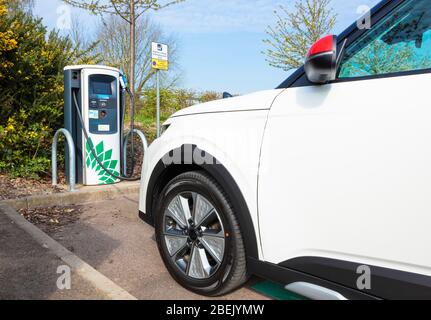 Neues Elektroauto Kia E Soul märz 2020 Elektroauto laden an einem öffentlichen Ladegerät für Elektroautos geparkt in Elektroauto laden Parkplatz UK Stockfoto