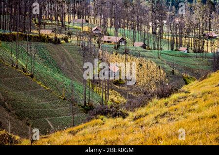 Traditionelles Dorf Cemoro Lawang, umgeben von Feldern. Ost-Java, Indonesien. Cemoro Lawang Dorf liegt in der Nähe Vulkan Bromo. Stockfoto