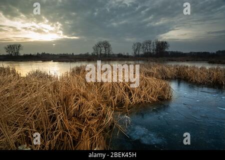 Trockenes Schilf in einem gefrorenen See und dunkle Wolken am Himmel Stockfoto