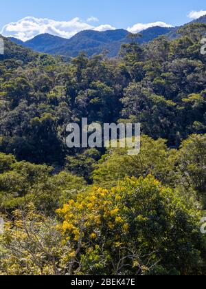 Allgemeine Ansicht des Hügels mit atlantischen Wald Vegetation bedeckt, Areal, Rio de Janeiro, Brasilien Stockfoto