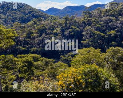 Allgemeine Ansicht des Hügels mit atlantischen Wald Vegetation bedeckt, Areal, Rio de Janeiro, Brasilien Stockfoto