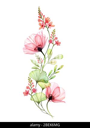 Aquarell Blumenarrangement. Vertikales Designelement. Abstrakte große Mohnblüten mit exotischen fresia isoliert auf weiß. Botanische Illustration für Stockfoto