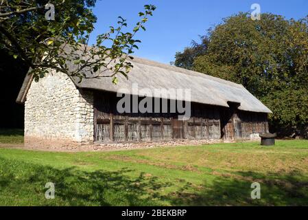 Fachwerk reetgedeckten Scheune aus 1550, National History Museum, St Fagans, Cardiff, Südwales, UK. Stockfoto