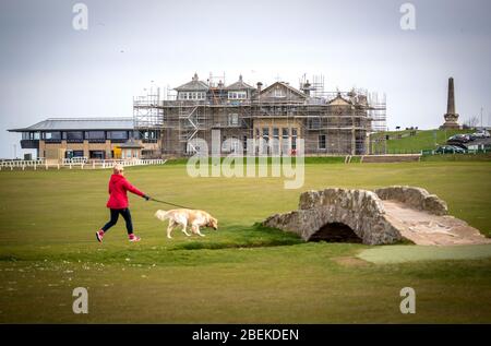 Ein Hundespaziergang passiert die Swilcan Bridge auf dem Old Course in St Andrews in Schottland. Bekannt als die Heimat des Golfs, wird der älteste und ikonischste Golfplatz der Welt die 150. Open 2022 ausrichten, nachdem die diesjährigen Open im Royal St George's in Kent auf nächstes Jahr verschoben werden. Stockfoto