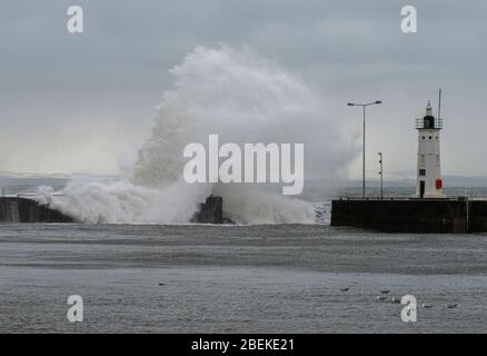 Anstruther, Fife, Schottland, Großbritannien der alte Fischerhafen Anstruther im Osten von Fife an der Ostküste Schottlands ist heute ein beliebter Touristenort Stockfoto