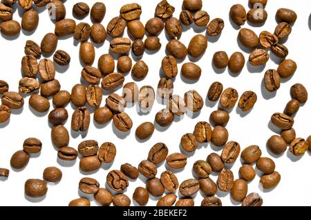 Sorgfältig ausgewählte und geröstete frische Kaffeebohnen, Kaffeebohnen Hintergrund, isoliert auf weißem Hintergrund Stockfoto