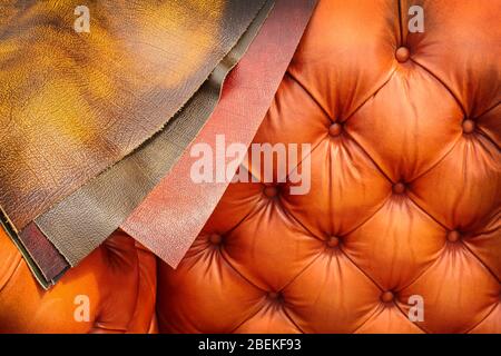 Chesterfield Couch mit verschiedenen Beispielen von Lederbezügen Stockfoto