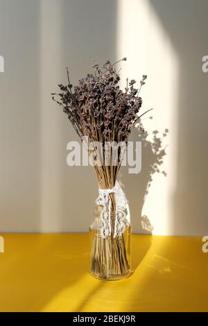 Bouquet von lila Lavendel in Glas auf hellgelben Hintergrund. Hartes Licht fällt auf Stillleben mit Blumen Stockfoto
