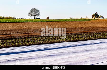 Landwirtschaftlich geprägte hessische Landschaft - im Frühjahr in Deutschland im großen ökologischen Landbau. Stockfoto