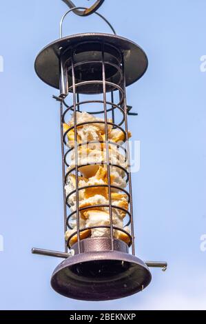 Ein Vogelfutter aus Metall, das in der Luft mit Brot gefüllt ist, mit blauem Hintergrund. Stockfoto