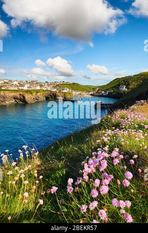 Blick auf den Frühling mit Blick zurück auf das malerische Dorf Port Isaac, North Cornwall Stockfoto