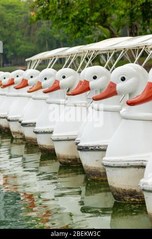 Weiße Entenvogelform Wasserpaddelboote stehen in Reihe im Wasserteich während bewölkten Tag in Bangkok, Thailand. Dritter Vogel von rechts ir in ca. Stockfoto