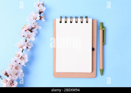 Schöner blauer Hintergrund mit Frühlingsblütenästen und Notizbuch, Draufsicht, flaches Lay, Rahmen. Keine Verschwendung Stockfoto