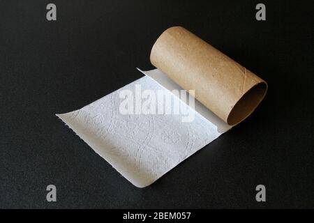 Ein letztes Stück Toilettenpapier auf einer Papprolle vor schwarzem Hintergrund im Fine Art Stil. Stockfoto