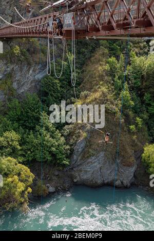 Bungy springt von der Hängebrücke der Kawarau Gorge, nahe Queenstown, Otago, South Island, Neuseeland Stockfoto