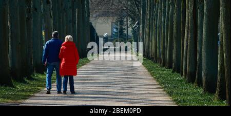 Celle, Deutschland, 27. März 2020: Älteres Paar, das allein auf der Lindenallee im französischen Garten läuft, Frau mit roter Jacke und blonden Haaren Stockfoto