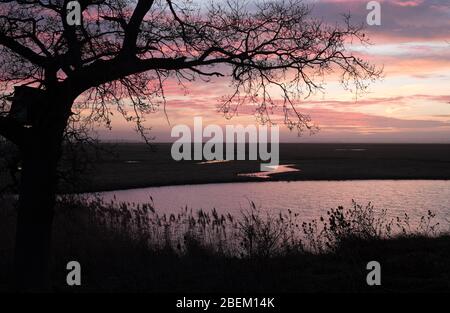Sonnenaufgang über den Sümpfen des Elmley Nature Reserve, Isle of Sheppey, Kent Stockfoto