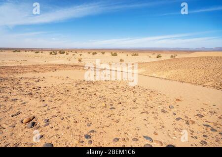 Wüstenlandschaft mit vielen Steinen in Marokko, Afrika Stockfoto