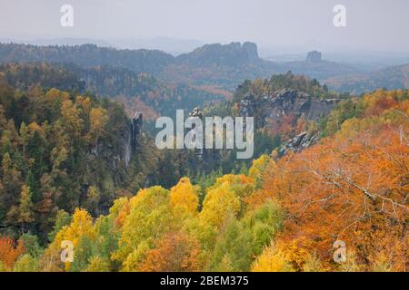 Blick von Carolafelsen auf den Großen Dom, Elbsandsteingebirge, SachsenSchweiz NP, Sachsen, Deutschland Stockfoto