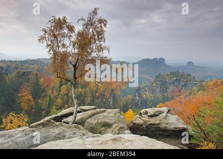 Blick von Carolafelsen auf den Großen Dom, Elbsandsteingebirge, SachsenSchweiz NP, Sachsen, Deutschland Stockfoto