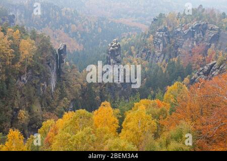 Blick von Carolafelsen auf den Großen Dom, Elbsandsteingebirge, SachsenSchweiz NP, Sachsen, Deutschland Stockfoto