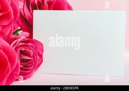Blumen verspotten Gratulation. Glückwunschkarte im Blumenstrauß mit rosa roten Rosen auf pinkfarbenem Hintergrund. Weiße leere Karte mit Platz für Text und Rahmen Stockfoto