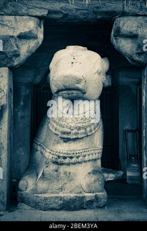 Ein monochromes Bild von Nandhi am lord bragadeeswarar Tempel in tanjavur in Tamil Nadu Indien Stockfoto