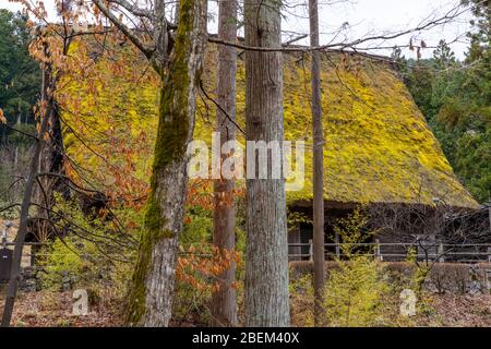 Hida Folk Village (Hida no Sato) mit traditionellen Hida-Häusern, Takayama, Japan Stockfoto