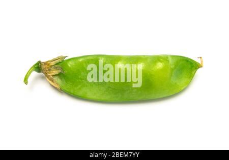 Grüne Erbsenschote Nahaufnahme isoliert auf weiß Stockfoto