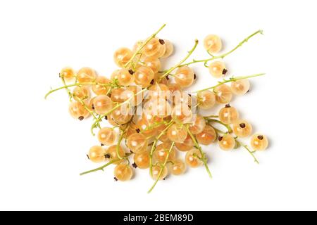 Nahaufnahme der weißen Johannisbeere isoliert auf weiß Stockfoto