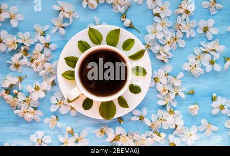 Weiße Frühlingsblumen auf einer blauen schäbigen Tafel. Platz für Text. Stockfoto