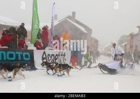 Husky Schlittenhundeteam beim Start des weltweit größten Hundeschlittenrennens "Femundløpet/Femund Race" in der historischen Münzstadt Røros, Norwegen Stockfoto