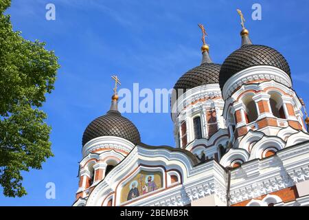 Die Alexander-Newski-Kathedrale ist eine orthodoxe Kathedrale in der Altstadt von Tallinn, Estland. Es wurde nach einem Entwurf von Michail Preobraschenski in einem Typi gebaut Stockfoto