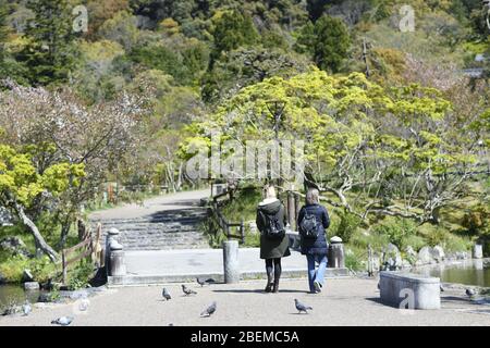 Kyoto. April 2020. KYOTO, JAPAN - APRIL 14: Auf diesem Foto zeigt der Tourist im Maruyama Park in Kyoto, 14. April 2020, Präfektur Kyoto, Japan. (Foto: Richard Atrero de Guzman/ AFLO) Quelle: Aflo Co. Ltd./Alamy Live News Stockfoto