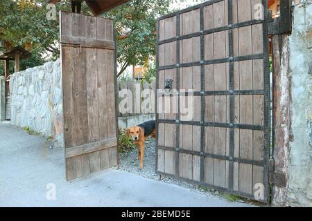 Hund im Zaun eines Landhauses Stockfoto