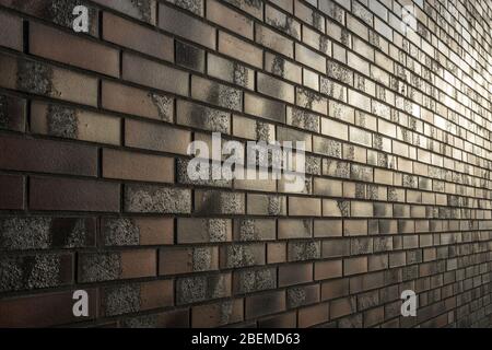 Backsteinwand im Abendlicht. Stockfoto