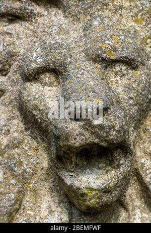 Eine antike Steinzeugskulptur eines Löwenkopfes, der mit Moosen und Flechten bewittertem Steinkastanupfer bedeckt ist. Stockfoto