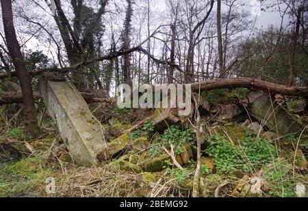 Weggeworfene Abfälle, in Wald entsorgt, illegale Müllhalde Bauabfälle Stockfoto