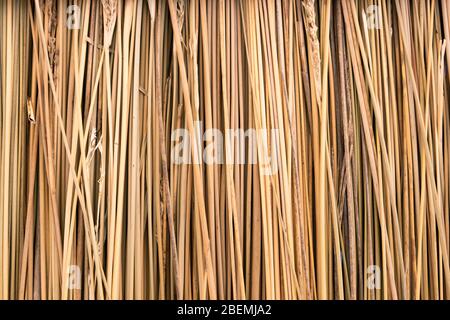 Nahaufnahme von gelb gestreiften Stroh Textur als Hintergrund. Stockfoto