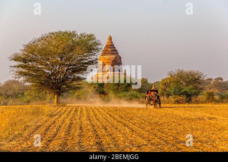 Tourist mit Karrenfahrt, Bagan Stockfoto