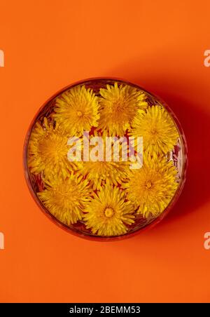 Löwenzahn-Blüten schweben in einer Glasschale. Stockfoto