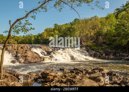 River fällt mit kleinen Baum und Felsen im Vordergrund an einem hellen sonnigen Tag Stockfoto